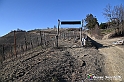 VBS_0878 - Corneliano d'Alba